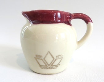 Vintage Souvenir Pitcher South Carolina Tricentennial Souvenir Collectors Item, Hand Crafted South Carolina History