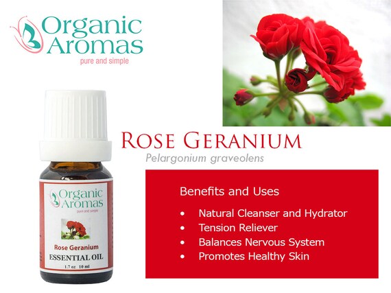 Rose Geranium Pure Essential Oil for by OrganicAromas2014 on Etsy