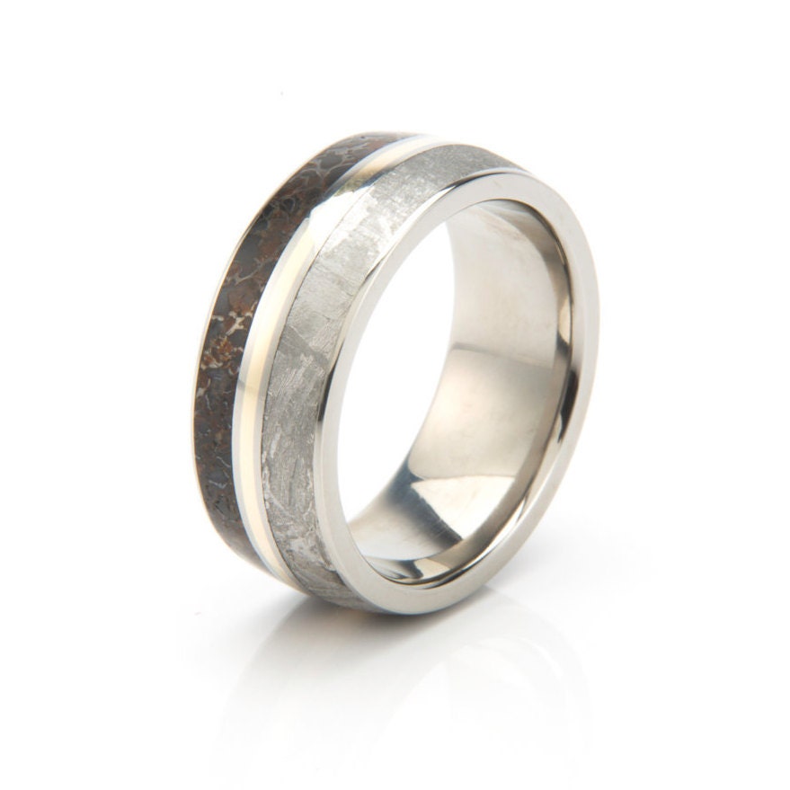 Meteorite Ring Dinosaur Bone Wedding Band With a 14k Yellow