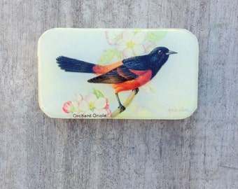 Bird Pill Box, Slider Tin, Mint Tin, Vintage bird
