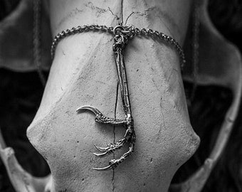 Raven Claw Necklace Silver Crow Claw Necklace Bird Claw Pendant Necklace 452