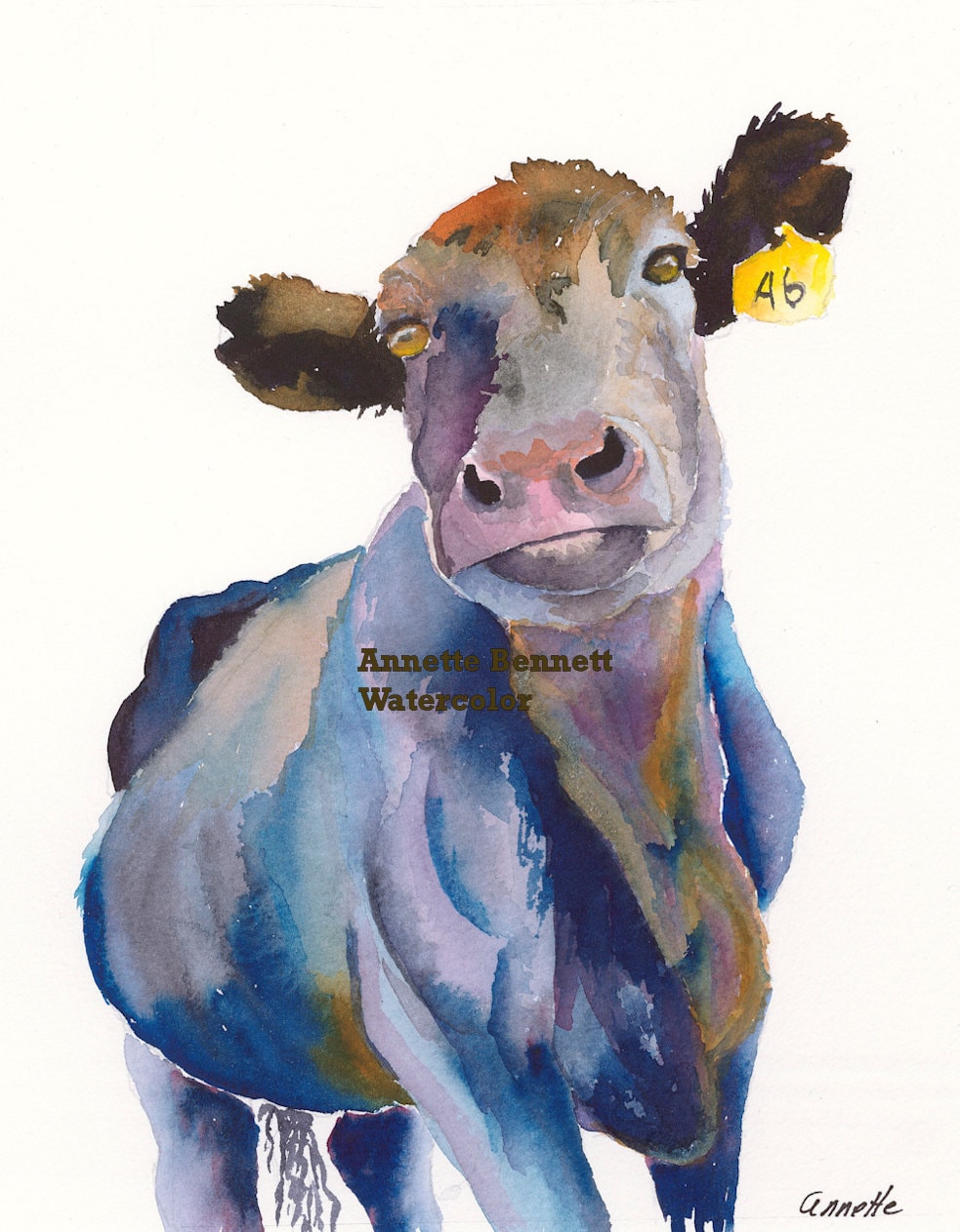 angus cow canvas wall decor cow wall art farm art canvas print