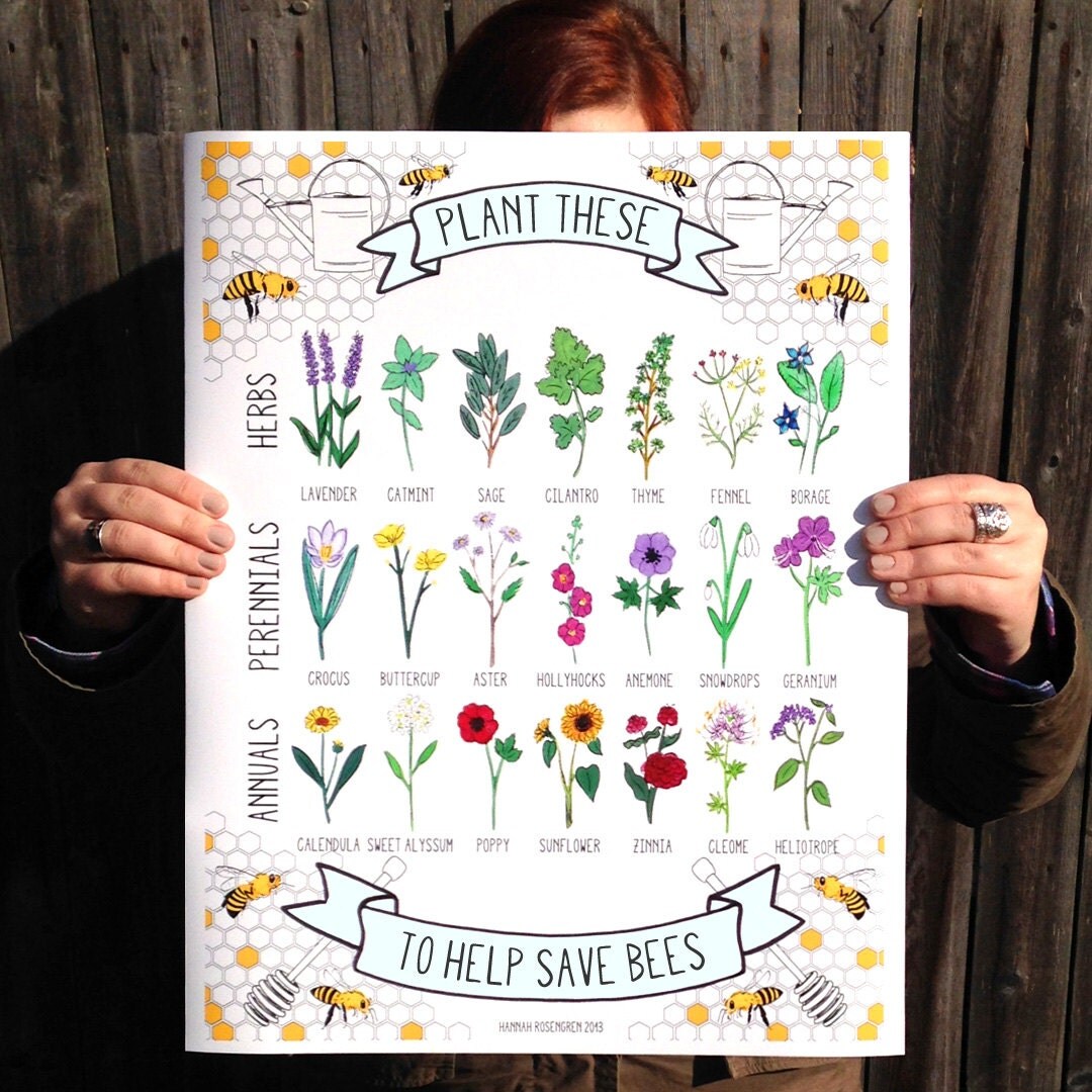 Plant These to Help Save Bees 16x20 Poster OR by HannahRosengren