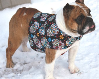 Sugar Skull Dog Fashion, Day of the Dead Dog Clothes, Dia De Los Muertos, Gothic Pet Clothing, Italian Greyhound Clothing, Bulldog Clothing