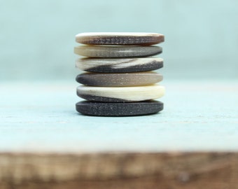 6 pcs. Horn Buttons