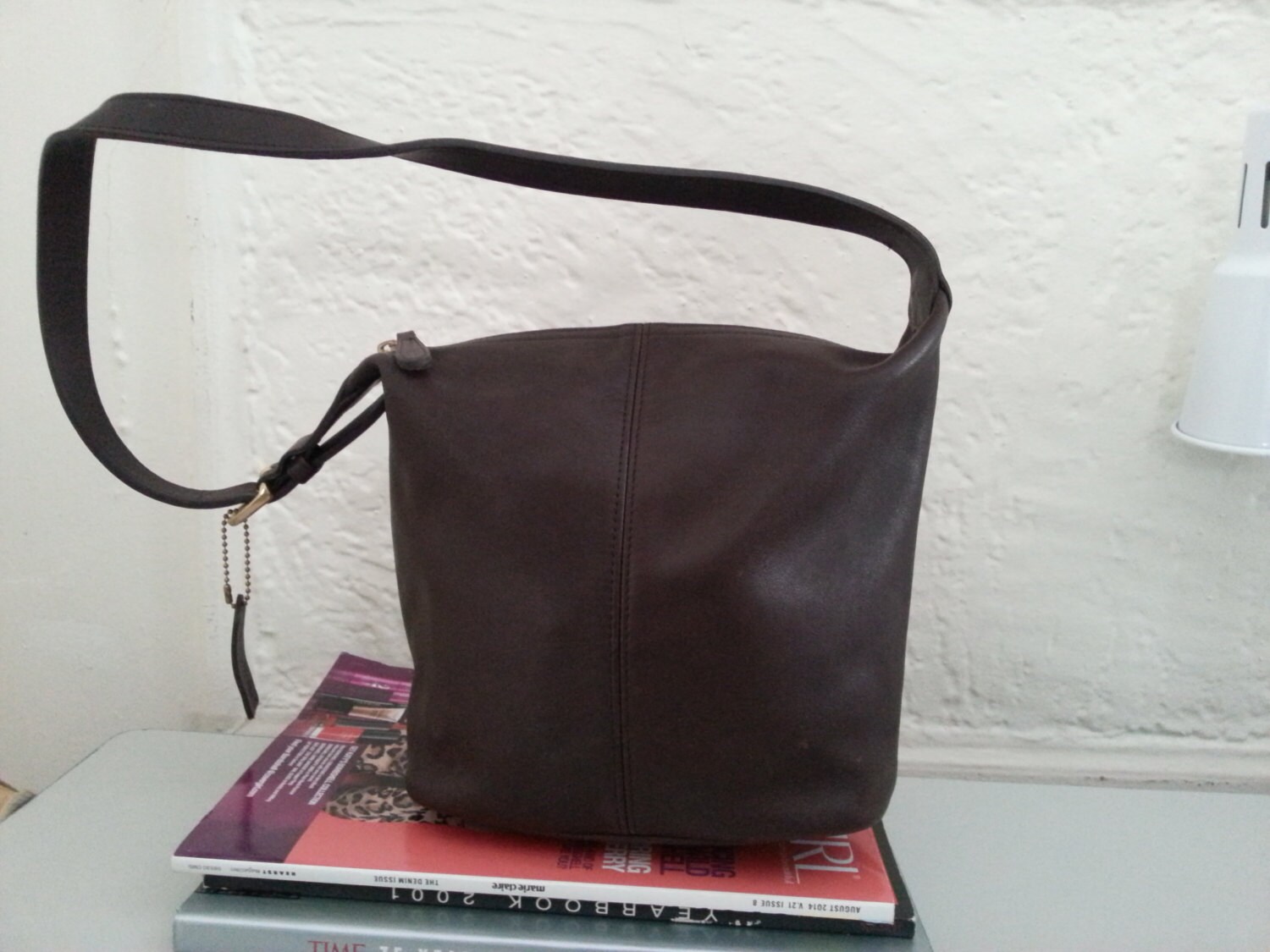 coach hobo bucket bag