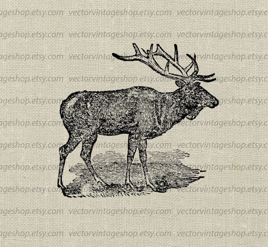 Elk Vector Clipart Instant Download American Elk Antler Clip
