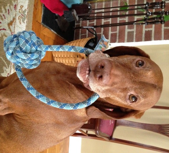 Items similar to Recycled Climbing Rope Dog Toy Monkey's Fist Blue