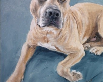 Custom pet portraits, custom dog portrait - oil painting on stretched canvas. ***Lowest price is 50% DEPOSIT price***