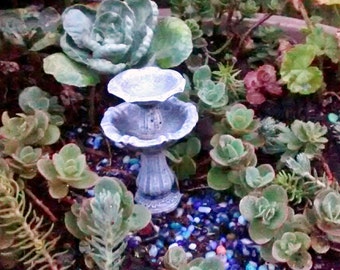 Tiny Succulents cuttings for Terrarium, Zen Garden, Miniature Fairy or dish garden, Wedding DIY