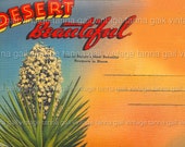 Desert Beautiful Postcard Vinatge Download Printable Mid Century