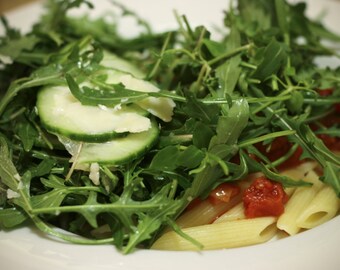 1,500+ Arugula- (Sylvetta) Wild Italian- Lettuce (Herb) Seeds