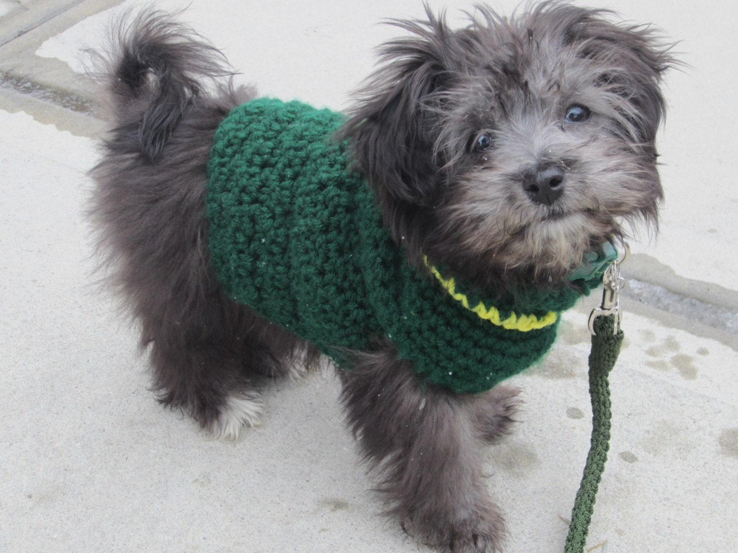 Team Colors Green Dog Sweater dog sweaters team dog