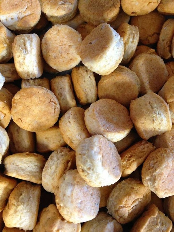 doggone biscuit books doggone biscuit books