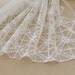 Width 47.24 inches lace fabric,Ivory flower embroidered lace,floral lace trim,3D lace fabric,trim lace for DIY dress,120CM