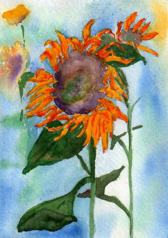 Four pack watercolor sunflower note cards. Blank inside.