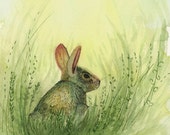 Little Rabbit Watercolor Giclee Print 5x7