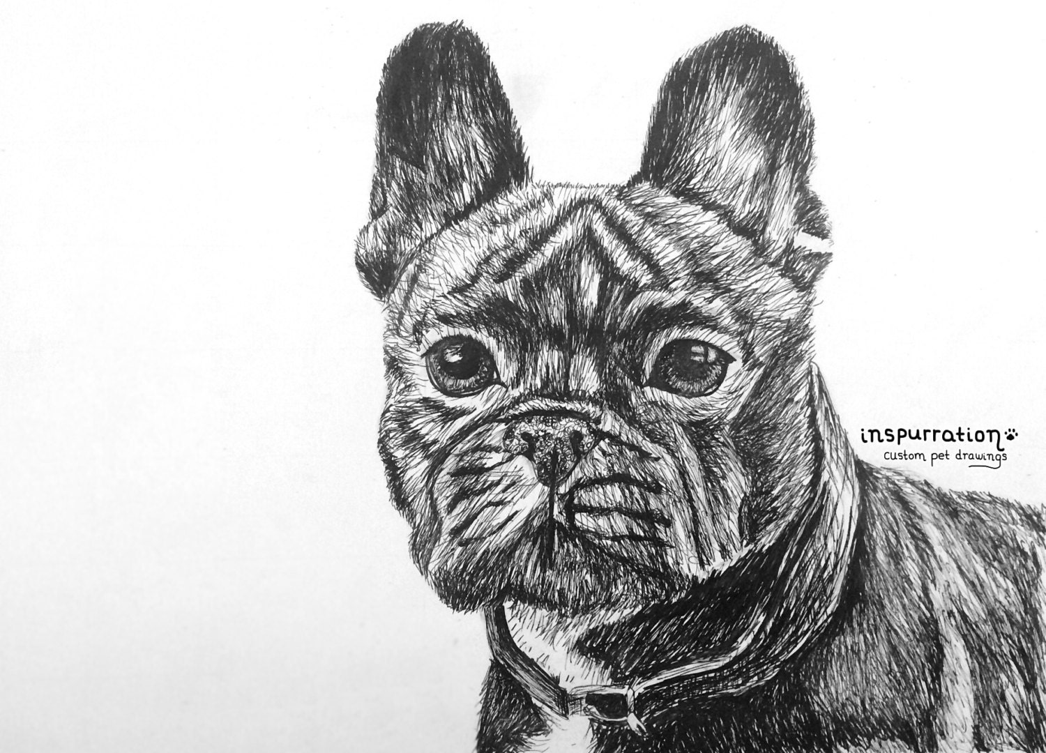 Original Custom Dog Portraits in Pen and Ink Dog by Inspurration
