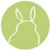 The Pudgy Rabbit