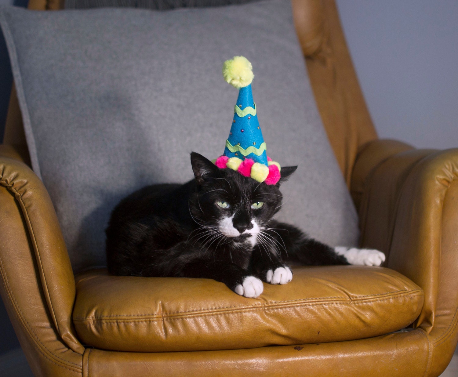 Happy Birthday Cat Hat