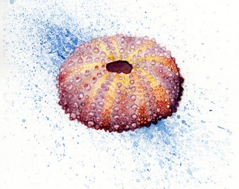 Sea Urchin Watercolor Art Print Wall Decor Beach Nautical