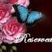 Nena Malhotra RESERVED LISTING 2pc Deep Red Victorian Satin Valentine Rose Flower Alligator Hair Clip