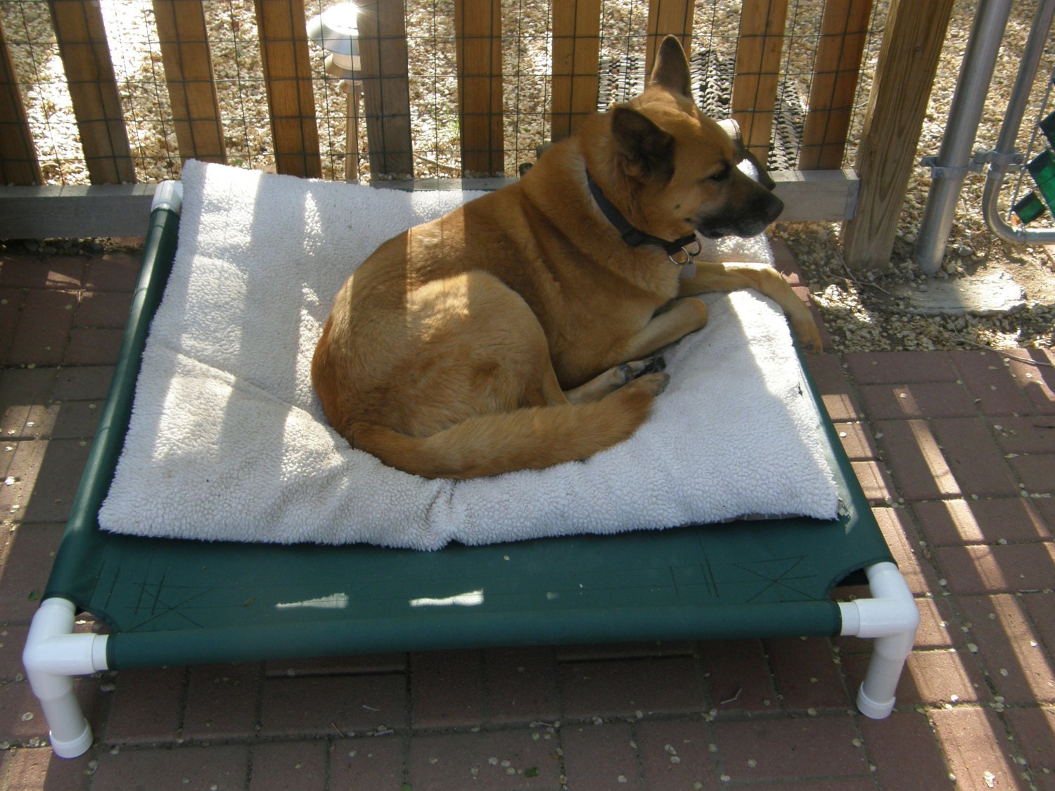 Mesh Dog Cot Raised Dog Bed RV Camping Dog by DianesK9Creations