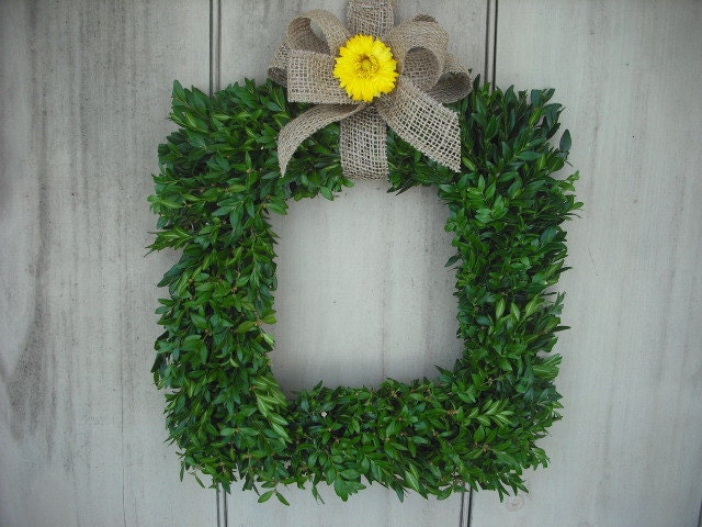 14" Fresh square Christmas wreath made with beautiful lush Boxwood, decorated with burlap bow and strawflower