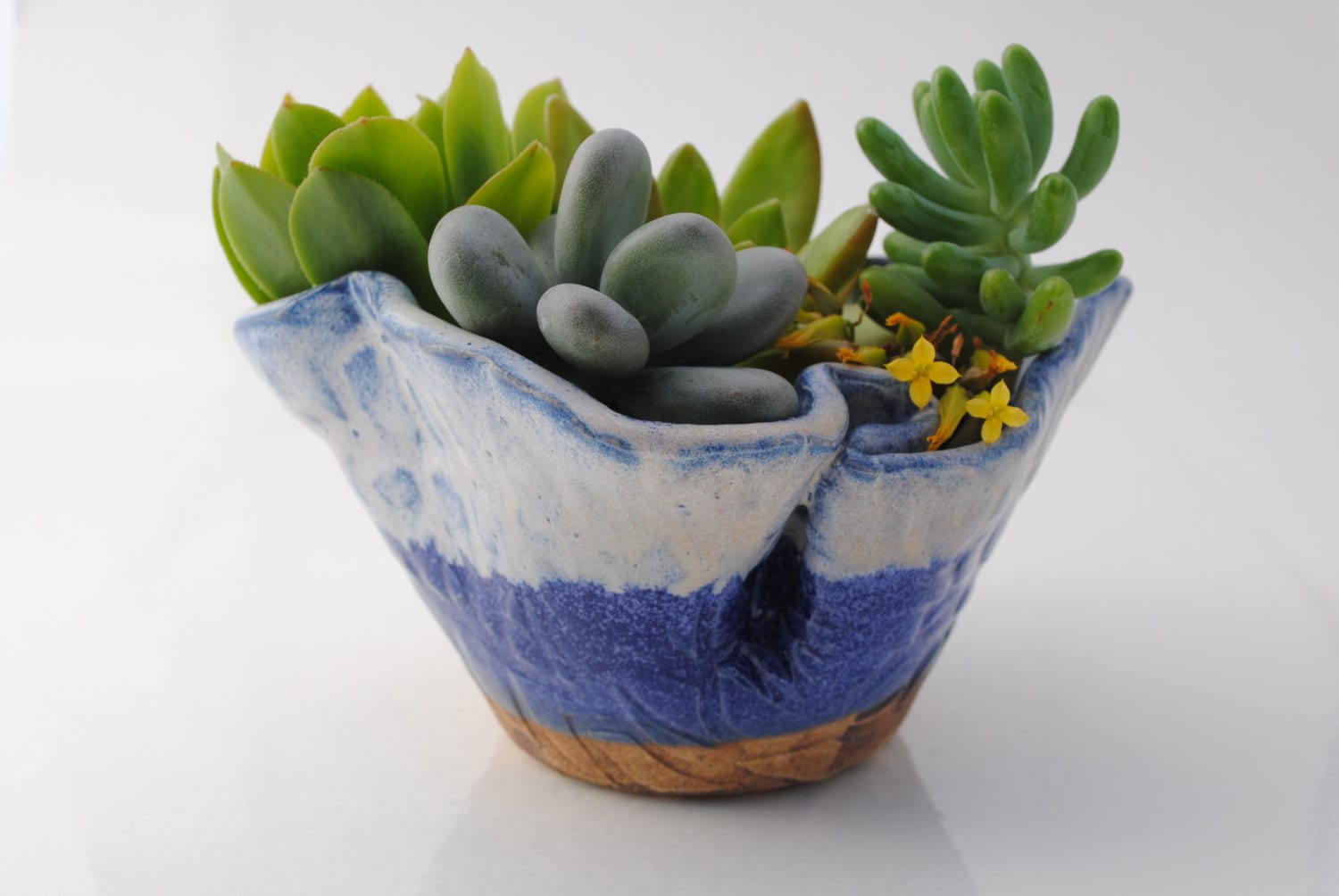 ceramic planter pot garden plant bowl window garden wavy