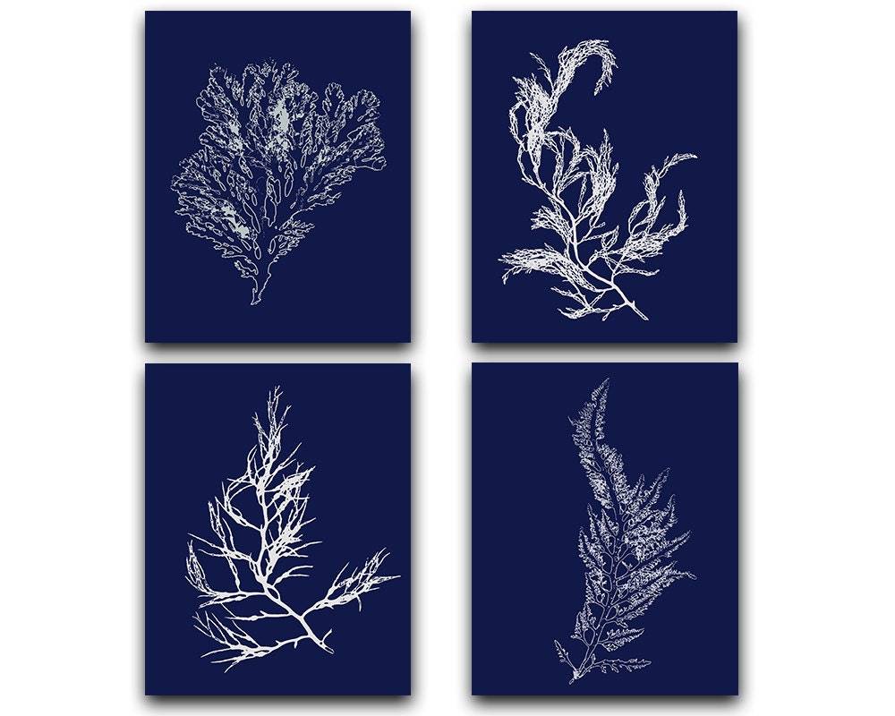 Seaweed Print Blue Beach House Wall Art Set Navy Coastal
