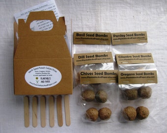 READY TO SHIP- Mini herb garden seed bomb kit - Includes- 2 basil, 2 oregano, 2 parsley, 2 chives, 2 dill, and 2 cilantro- 12 seed bombs