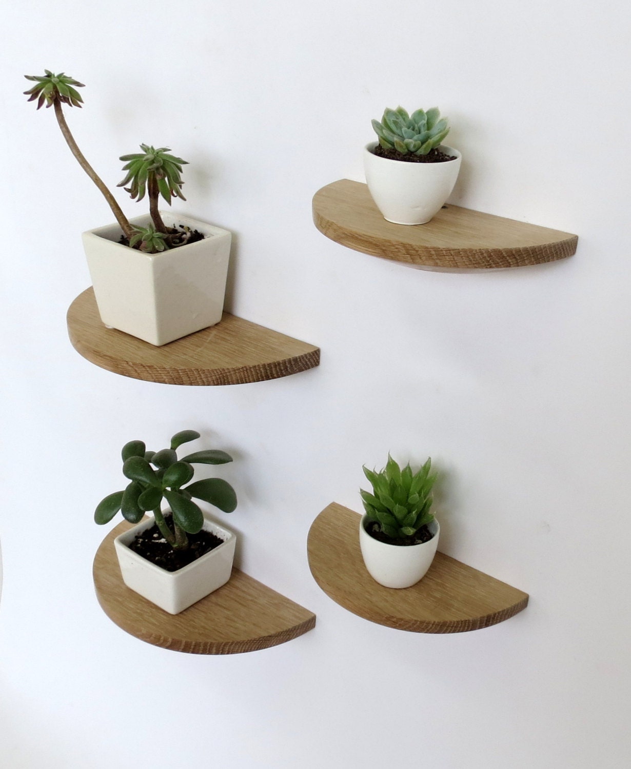 Set of four half round white oak shelves