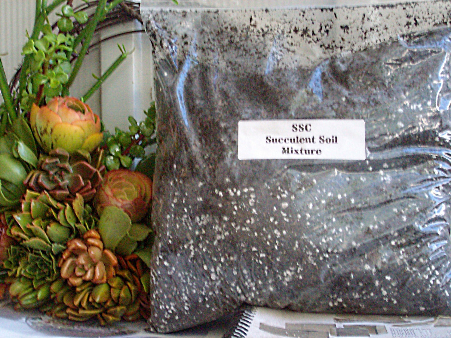 Succulent Plant Soil Mixture