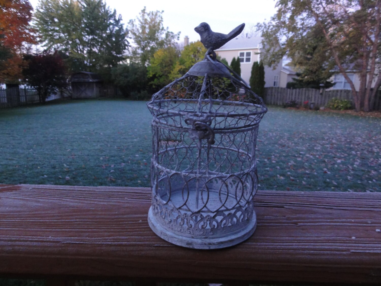 small plant of bird cage hinged at top for home decor use