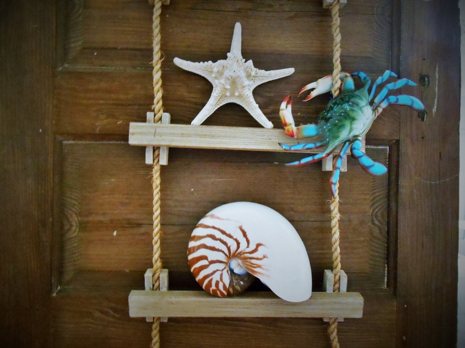 Nautical Rope Boat Ladder Display Shelf. Wall by searchnrescue2