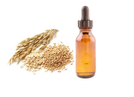 1 Oz Avena Sativa Kernel Oat Oil Excellent By Telianaturale 1592