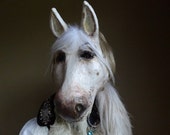 Animal mask Horse head mask paper mache horse mask horse costume