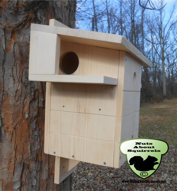 Squirrel Condo by NutsAboutSkwerls on Etsy