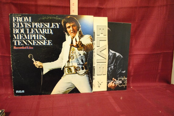 1976 From Elvis Presley Boulevard Memphis Tennessee Album Lp First 1st Pressing Rca Records 1059