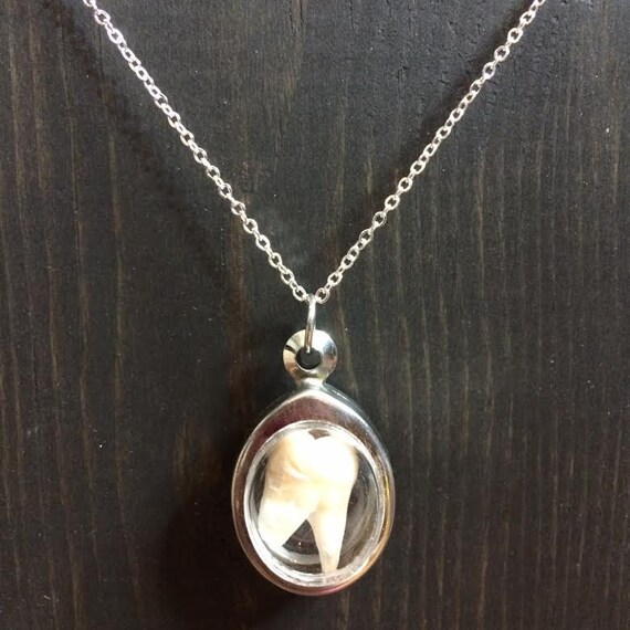 REAL human tooth necklace by PsychicCircle on Etsy