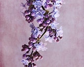 Purple lilac photography, floral art print, flower photography, violet wall art, lilac wall decor, photo art, feminine bedroom art