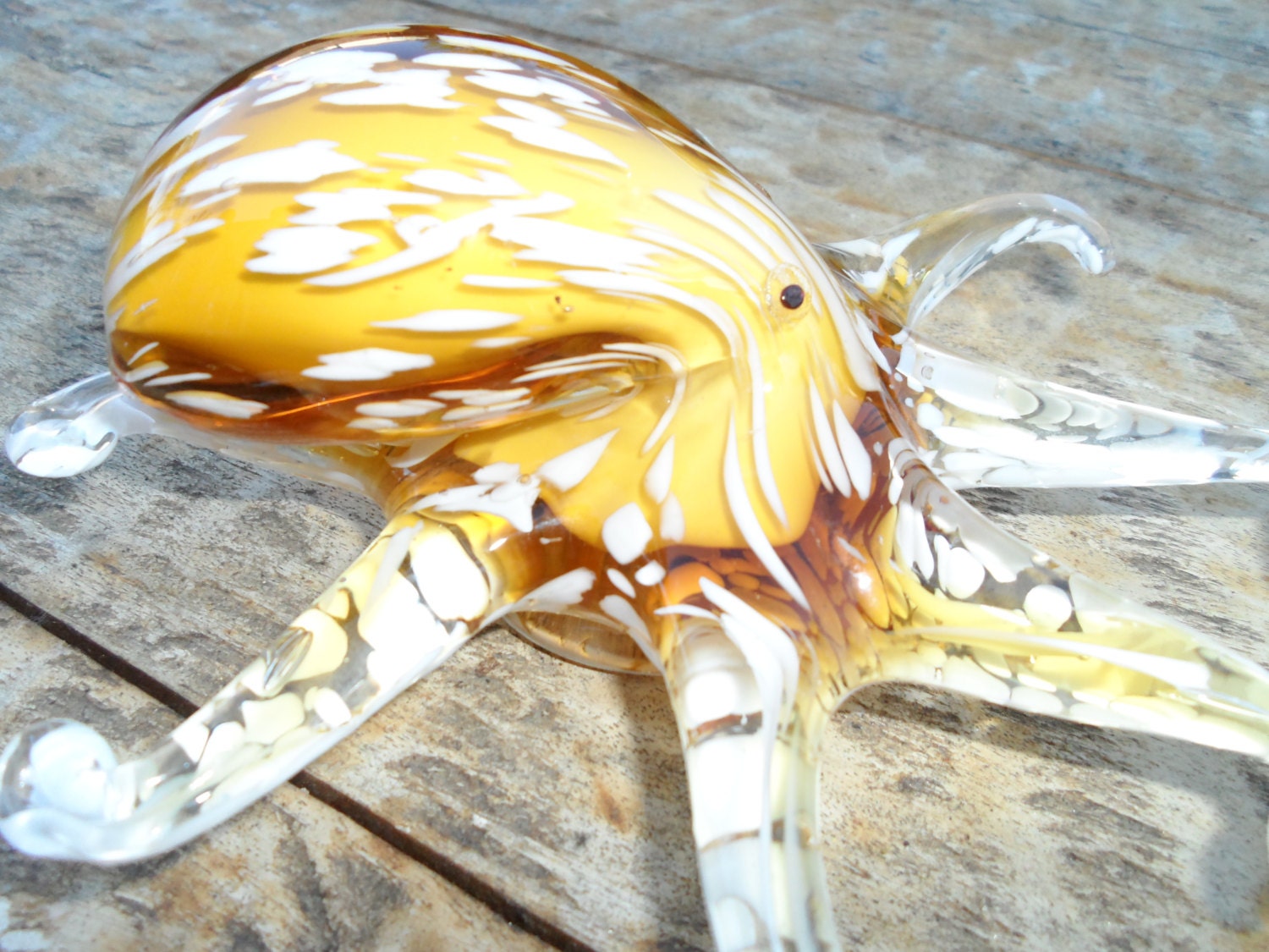 hand blown glass sea creatures