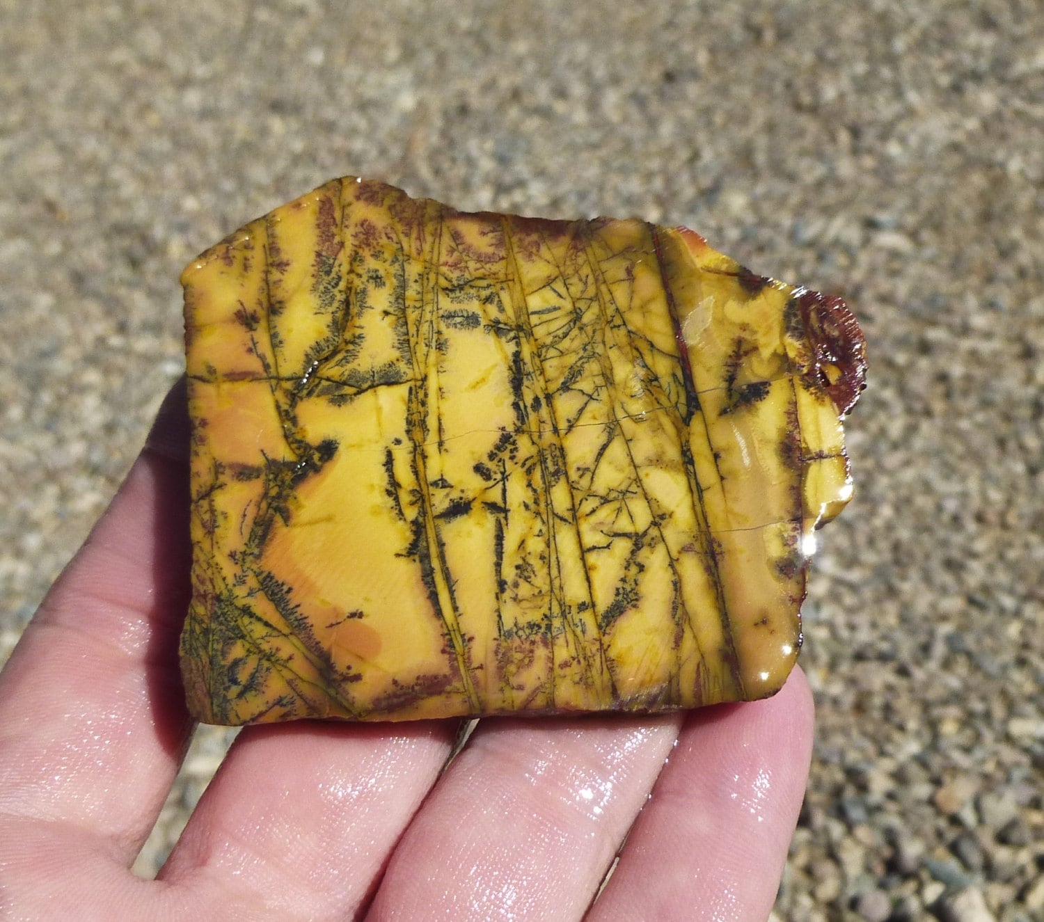 Yellow Feather Jasper Slab 55X45X7