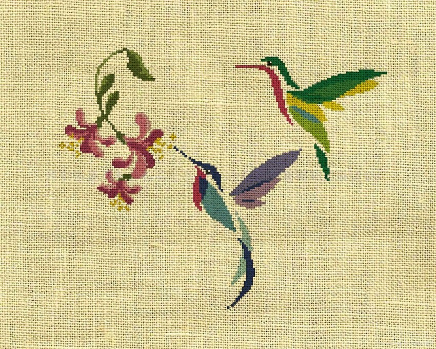 Bird/Hummingbird/animal Counted Cross Stitch Pattern