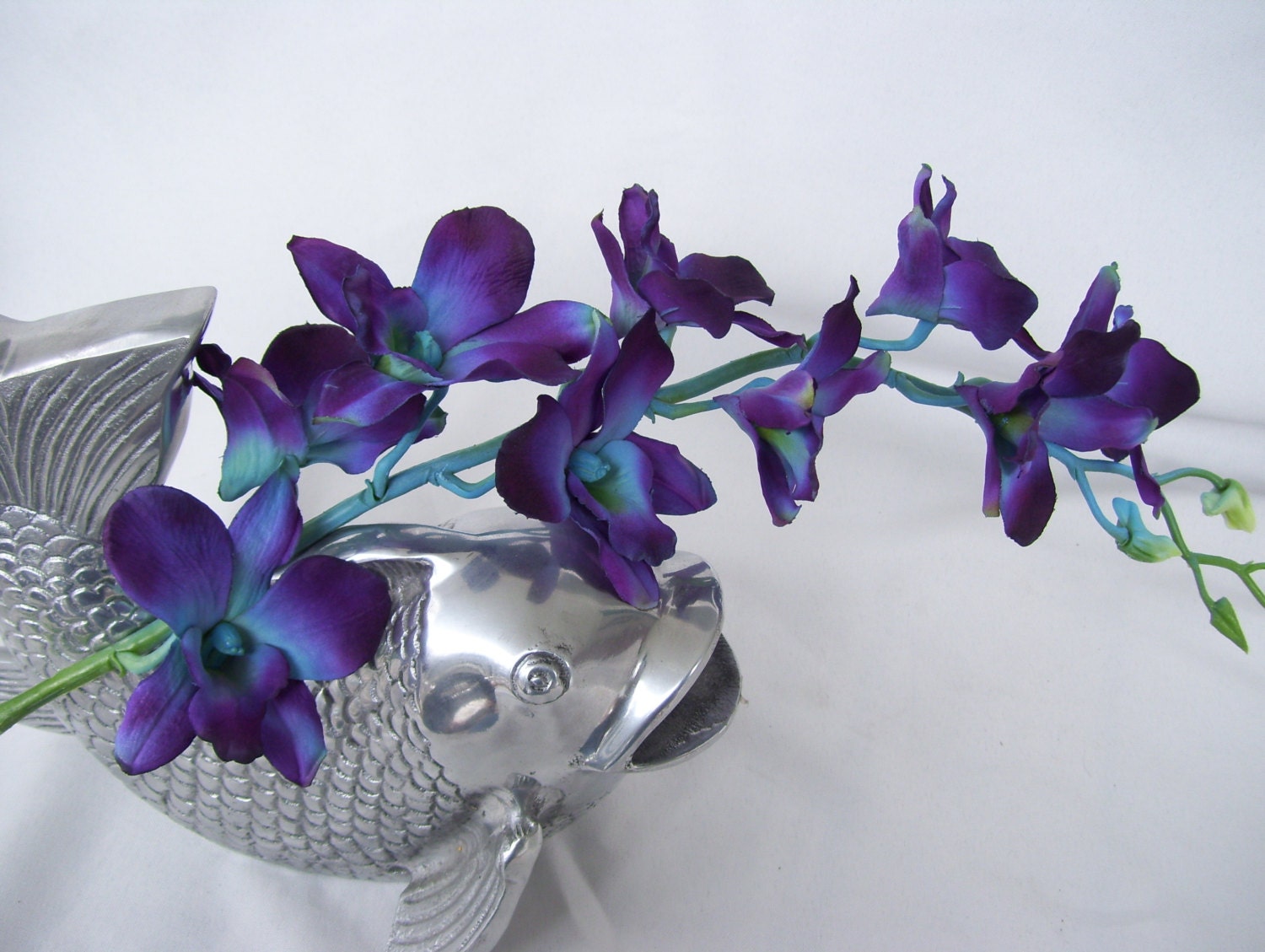 4 Stems Blue Moon Violet Ca Dendrobium Orchids Galaxy 3823