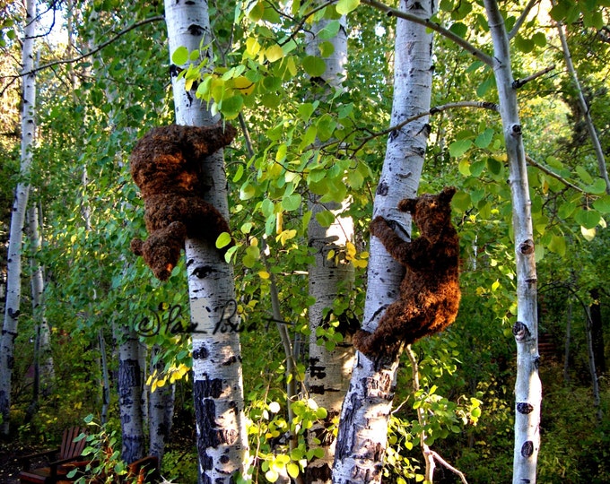 Climbing Bears Photo Greeting Card created by Pam of Pam's Fab Photos featuring man-made Brown Bears in an Aspen grove