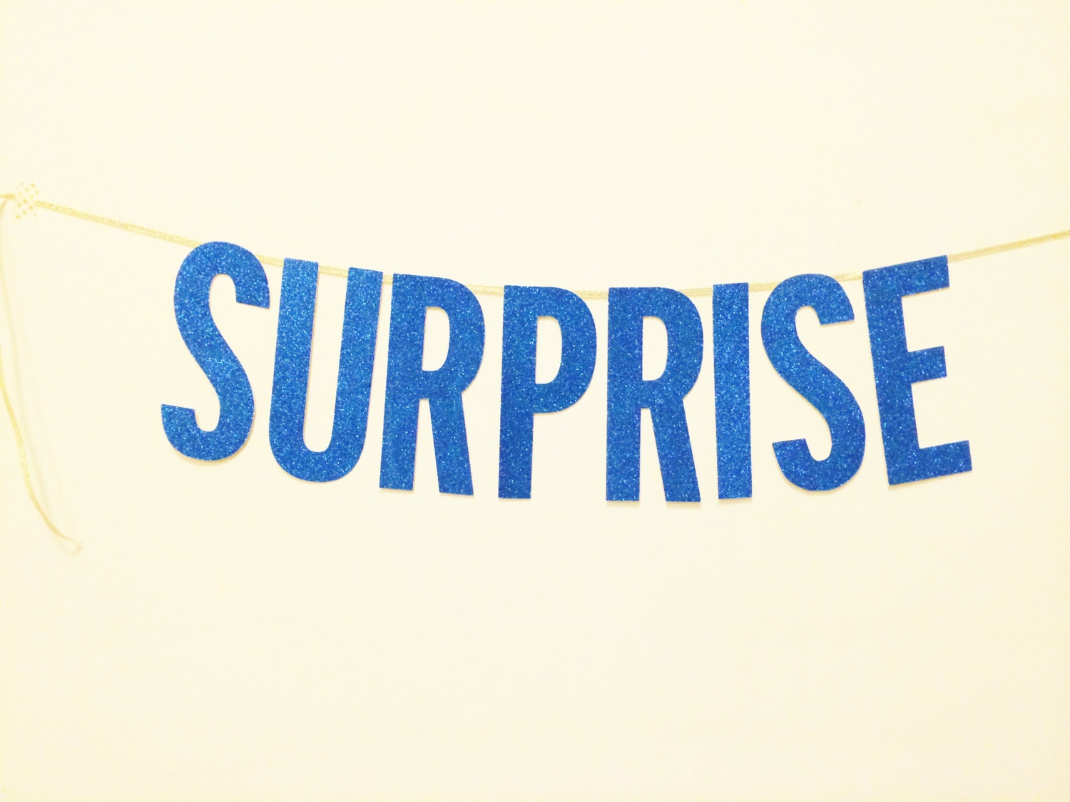 Surprise Banner Surprise Party Photo Booth