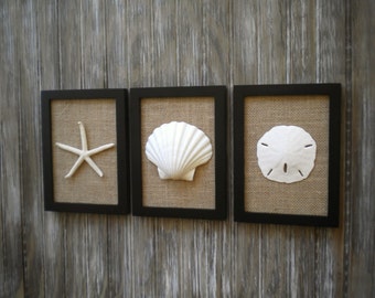 Popular items for sea shell home decor on Etsy