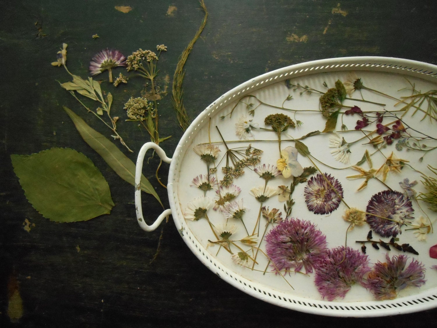 Dried Pressed Flowers Natural Craft supplies Real pressed