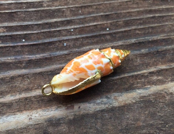 Beautiful gold trimmed miter shell Hawaiian pontifical miter